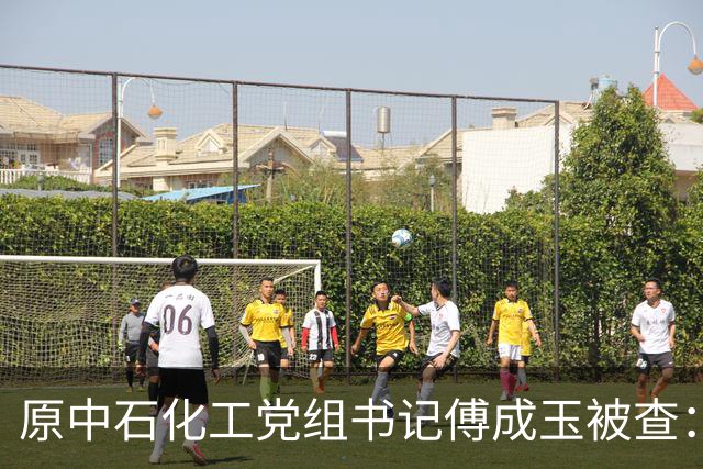 原中石化工党组书记傅成玉被查:退休不是平安着陆证,释放最强反腐信号