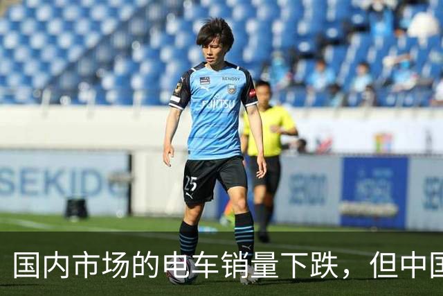 国内市场的电车销量下跌，但中国车圈新恒大可能先在海外爆发