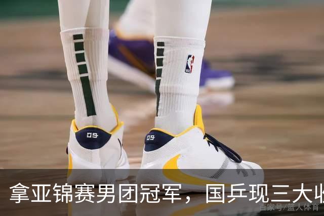 拿亚锦赛男团冠军，国乒现三大收获！林诗栋周启豪稳定，向鹏正名
